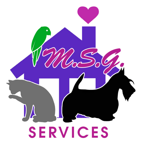 M.S.G. Services