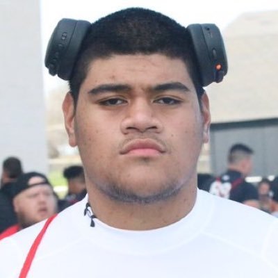 Pupungatoa Katoa Profile