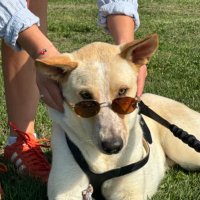 Ben (@bennethruskin) 's Twitter Profile