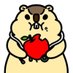Dr. Marmot - ドクターマーモット (@dr_marmot_) Twitter profile photo Dr. Marmot - ドクターマーモット (@dr_marmot_) Twitter profile photo