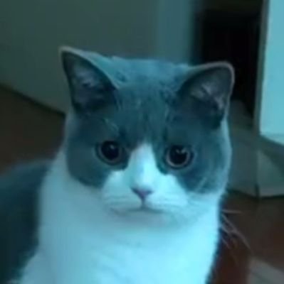 Wanさんのプロフィール画像