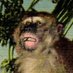 Handsome Genius (@hands0megenius) Twitter profile photo Handsome Genius (@hands0megenius) Twitter profile photo