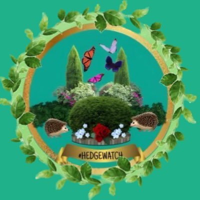 Official account of #CatsOfTwitter #Hedgewatch’ers 😺🐾🌳 For cats who love to watch & sniff hedges. Let us know if you would like to join!