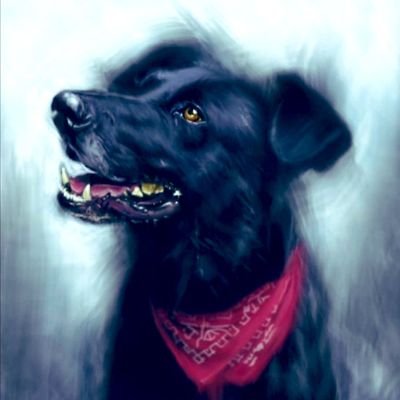 Grace38Ro10's profile picture. Tranquilidad ante todo, después de la tormenta viene la calma.