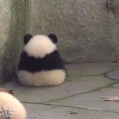 พฤกษาสีครามさんのプロフィール画像