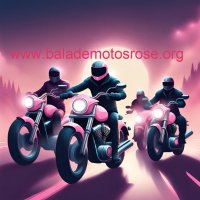 Balade Motos Rose ®(@balademotosrose) 's Twitter Profile Photo