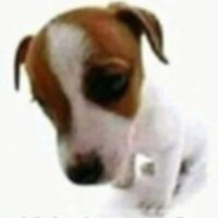 pereba (@ajaxbandidao) 's Twitter Profile