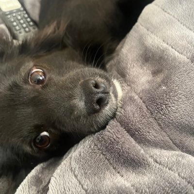 OfccKenze's profile picture. 