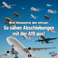 AfD-Münster - zurück zu Freiheit und Rechtsstaat(@AfD_MS_Fanseite) 's Twitter Profileg