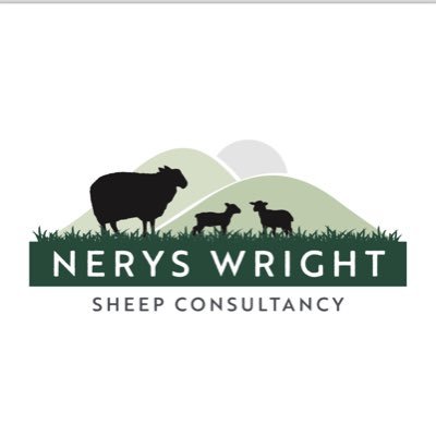 Nerys Wright Profile