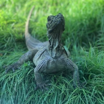 peavhy_peach's profile picture. 🏹💚 vet student sa umaga asong ulol sa gabi