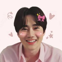 optimus mina^᪲᪲᪲ 🎠 (@minelif4) 's Twitter Profile