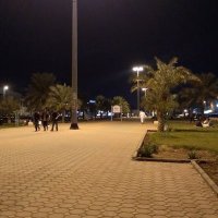 المدينه المنوره (@5533asdd) 's Twitter Profile