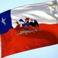 FUERZA CHILE. ✝ن🎗🇨🇱(@ChileenChile) 's Twitter Profile Photo