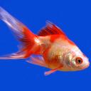 eric schantz - @paintsaginaw - Twitter