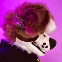 Jupiter, Certified Mutt (@jupitermceyebag) 's Twitter Profile Photo Jupiter, Certified Mutt (@jupitermceyebag) 's Twitter Profile Photo