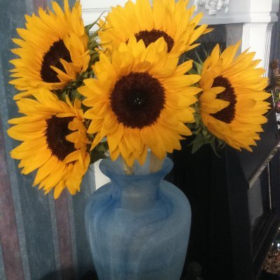 joanfarmer55's profile picture. 