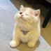 pudding ♡ (@puddpudd_) Twitter profile photo pudding ♡ (@puddpudd_) Twitter profile photo