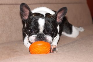 maxandbellat's profile picture. 