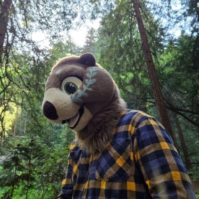 32 | M | NorCal | Airplaine fixerupper | water enthusiast |  coffee addict | happily taken | allegedly a silly ott 🦦
📸: @Starburst_Shark
