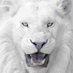 Abdul Wasiu Musah (@abdulwasiumu22) Twitter profile photo Abdul Wasiu Musah (@abdulwasiumu22) Twitter profile photo