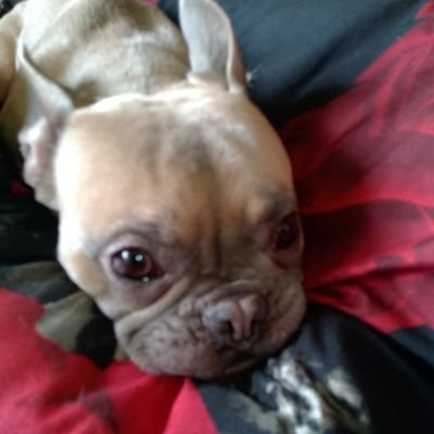 Tmmeh1521's profile picture. 