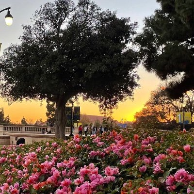 AldohA317's profile picture. A figment of your imagination.In here for the Blahs, the Blu and maybe some Bleh.