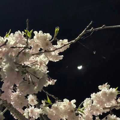 HYvU6qW2RyAByVu's profile picture. 