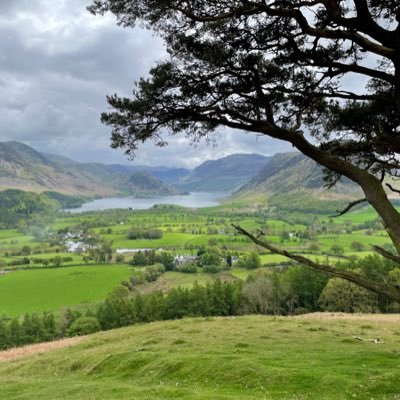 rachbroadbent1's profile picture. 