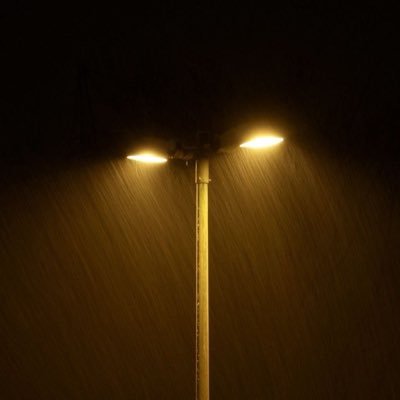 vstudy268's profile picture. 