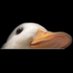 Matt (@kingnothingmatt) Twitter profile photo Matt (@kingnothingmatt) Twitter profile photo