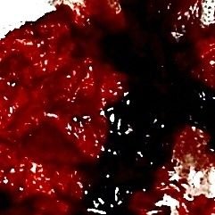 自創作と趣味 ※無断転載/使用等厳禁 𝗗𝗢𝗡'𝗧 𝗨𝗦𝗘 𝗢𝗥 𝗥𝗘𝗣𝗢𝗦𝗧 𝗠𝗬 𝗪𝗢𝗥𝗞𝗦. litlink必読