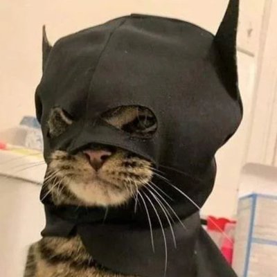 I'm batcat. | $BTC | Cat Collective Member | TG: https://t.co/GQcj0adiC3 | DEX: https://t.co/D0caqgzeqL