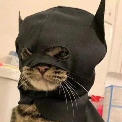 I'm batcat. $BTC

CA : EtBc6gkCvsB9c6f5wSbwG8wPjRqXMB5euptK6bqG1R4X

https://t.co/AWOR09GaTC