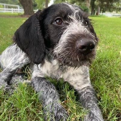 KevinlyFather πΊπ²π¨π¦π²πΌπΈπΏ Profile