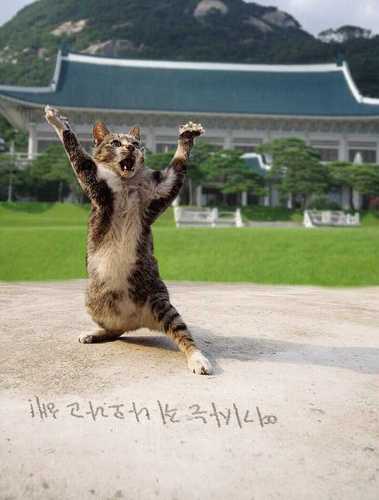 경남 양산 평산동 착한식당경영