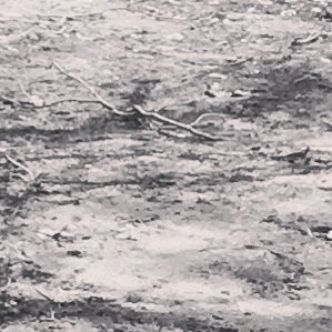 kateandzara's profile picture. 