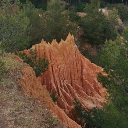 icywarlock's profile picture. 