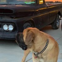 WildOwl (@wildowl25) 's Twitter Profile