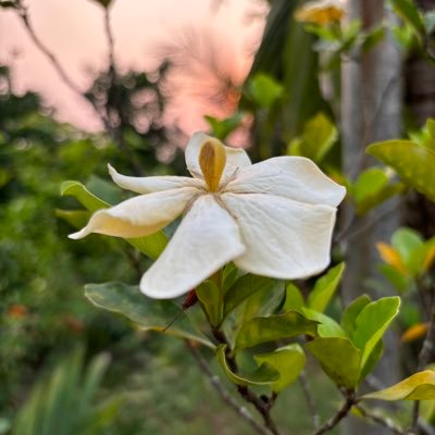 minilab102's profile picture. smile😉