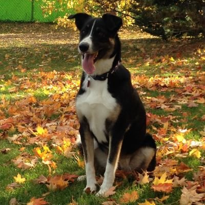 dabbling12345's profile picture. For fucks sake...take a joke.  tired of the lies & bullshit. You don't know what you don't know, do not make it up.