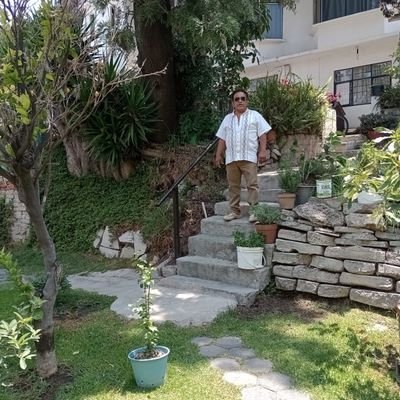 sigacer2's profile picture. Taxista en CDMX