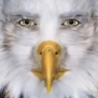 birddev_'s profile picture. Future "Game of the Year" and "Most Original Idea" award winner.