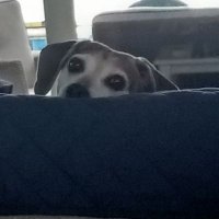 Karla4truth (@karla32467396) 's Twitter Profile