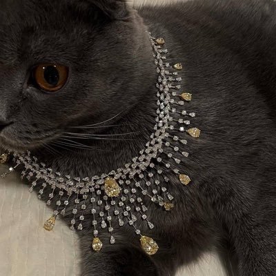 al_lllo's profile picture. Microbiology