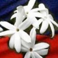 mercime (@mercime_one) 's Twitter Profile Photo mercime (@mercime_one) 's Twitter Profile Photo