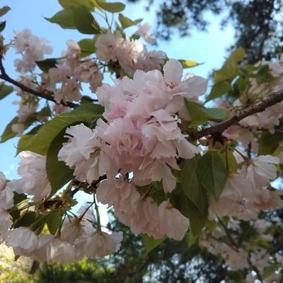 takemitli's profile picture. 