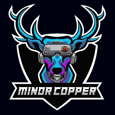 MinorCopper's profile picture. Up and coming, aspiring streamer.