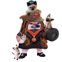 Katzenfella 🌻🇺🇦🇺🇸 (@katzenfella) 's Twitter Profile