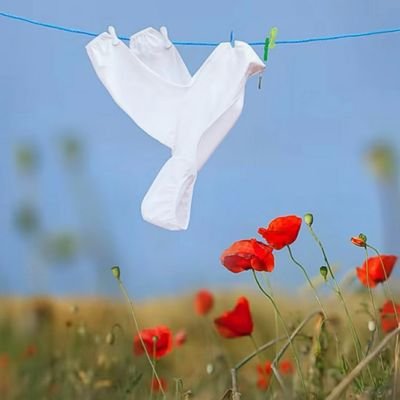 refresh0470's profile picture. Peaceful Soul over Stormy Mind